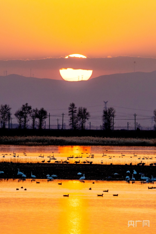 朔州太阳照在桑干河上图片