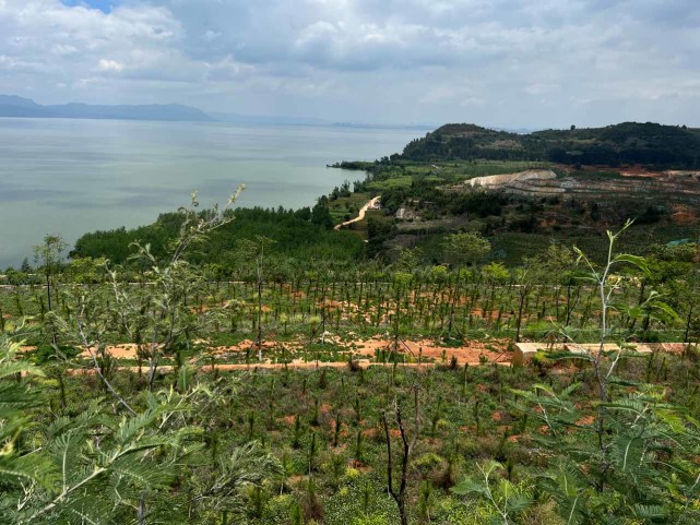 (南方周末记者 翁洹/图)据悉,截至目前,当地已累计拆除滇池一级保护区