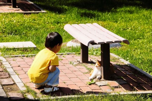 图文|王善锐"有位同学过生日,在学苑食堂的门口设了块地方,让大家留下