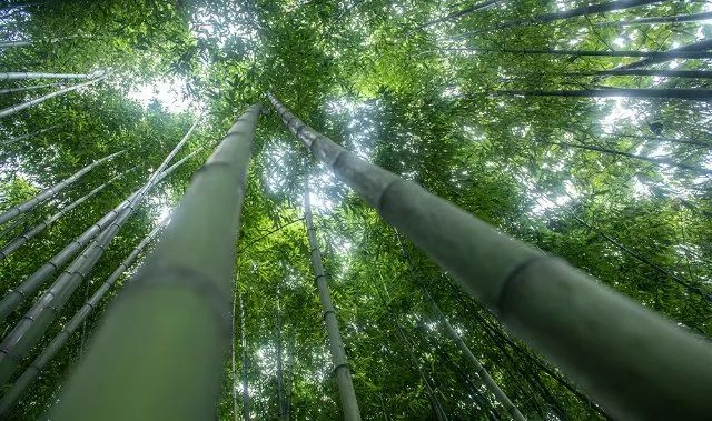 鑄牢中華民族共同體意識|鎮雄縣杉樹鄉細沙河村