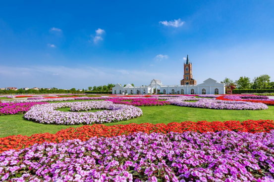 江西丰城花卉小镇引客来