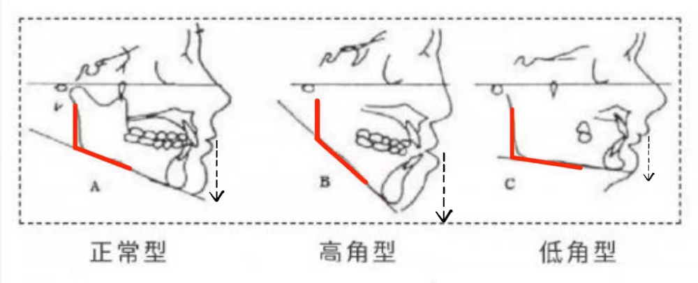 内娱新任紫薇星出现了？？看完脸后没把我笑死！