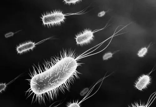 食品安全宣传周丨单增李斯特菌潜伏在冰箱中的冷酷杀手