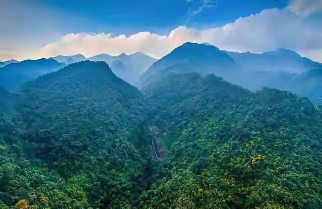 广西十万大山国家森林公园,暑假露营必选之地:只有资深驴友才会选择