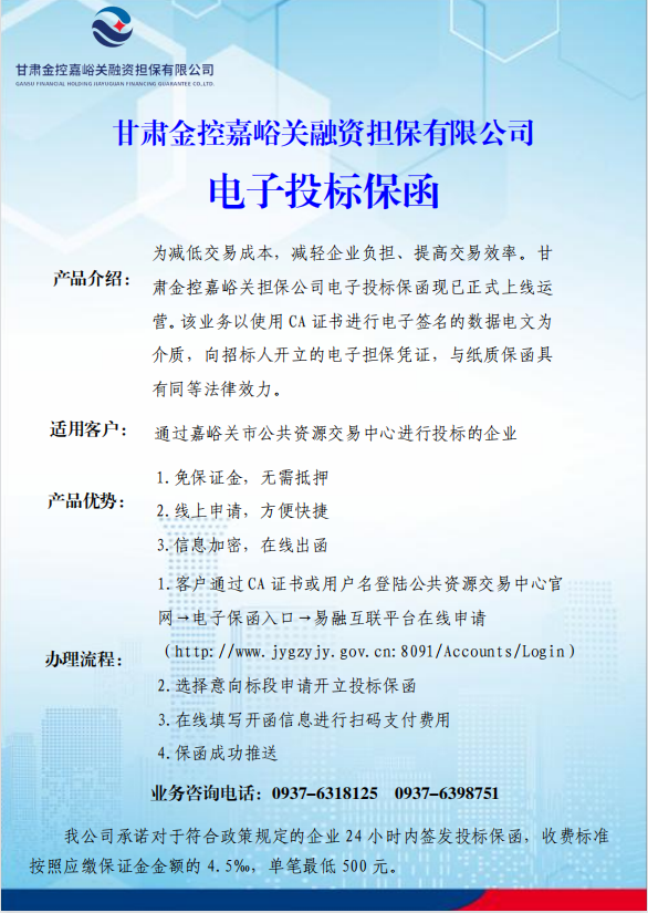 融资担保公司的新挑战：行业动态解析