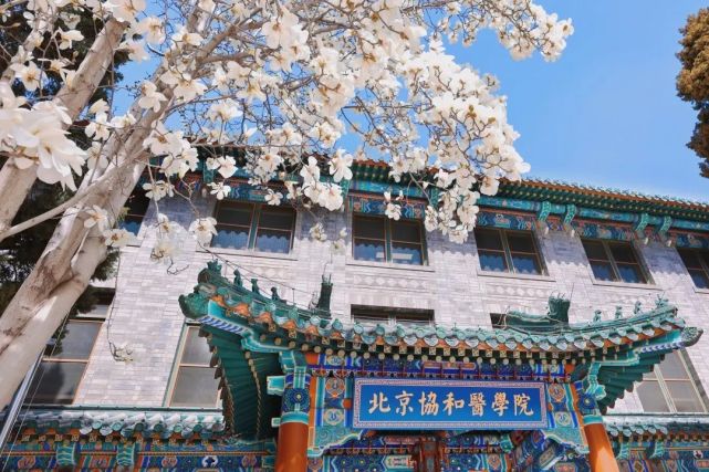 北京协和医学院怎么样?好不好?中国式宫殿里的西方医学学府