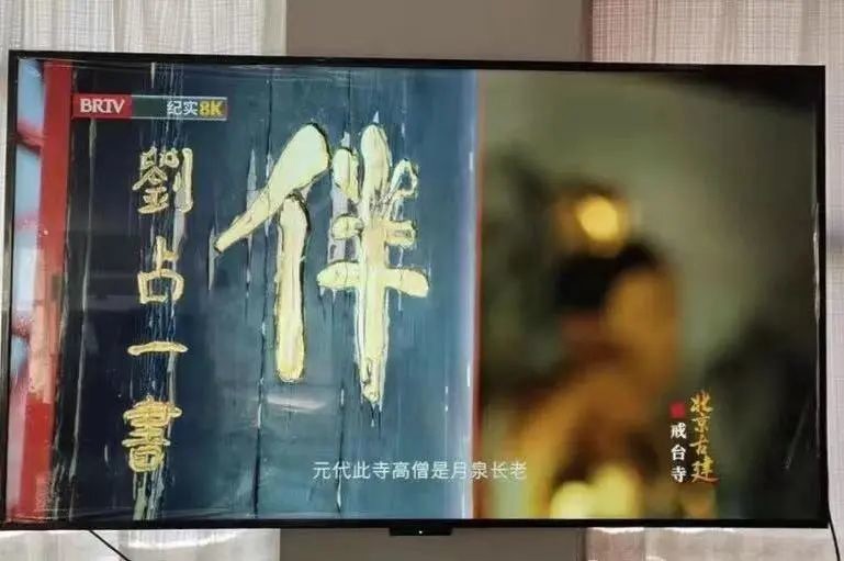 国博“上新”：探索文物中的古罗马文明