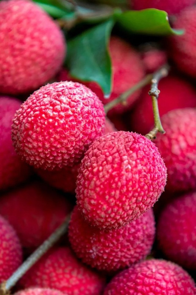 荔枝,莆田四大名果之一.