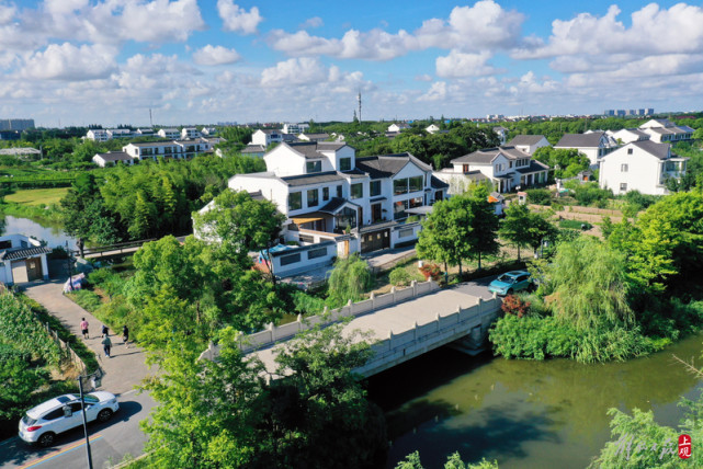 奉贤吴房村夏日美景醉人,市郊观光消暑正当时
