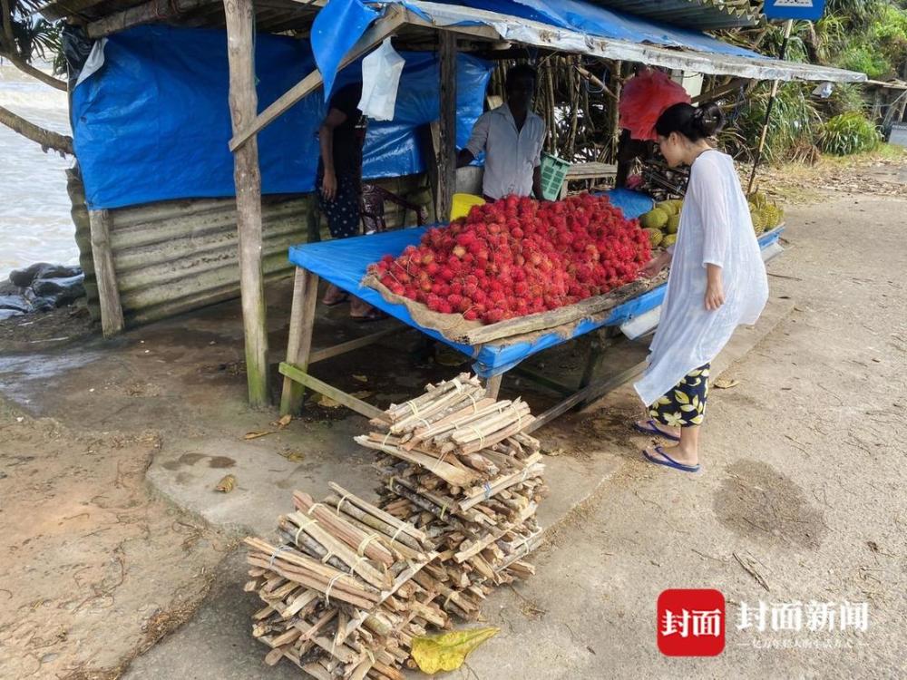 在斯里兰卡的中国人：捡柴烧饭，活动半径不超三公里