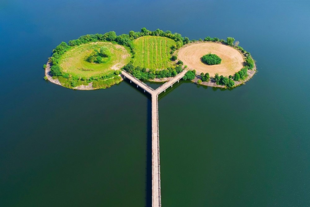 东西湖柏泉精灵恋湿地四季美如画