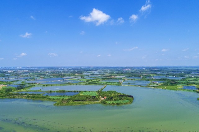 东西湖柏泉:精灵恋湿地,四季美如画