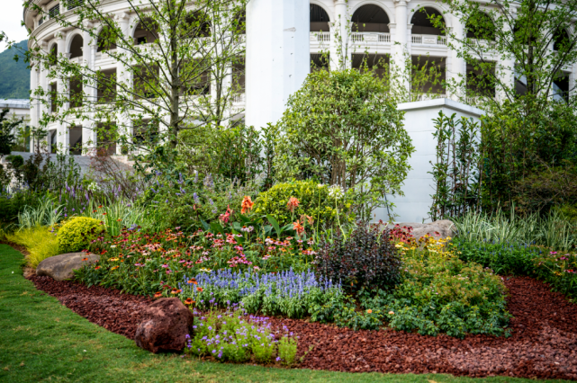 青田这些打新卡点惊艳"靓"相