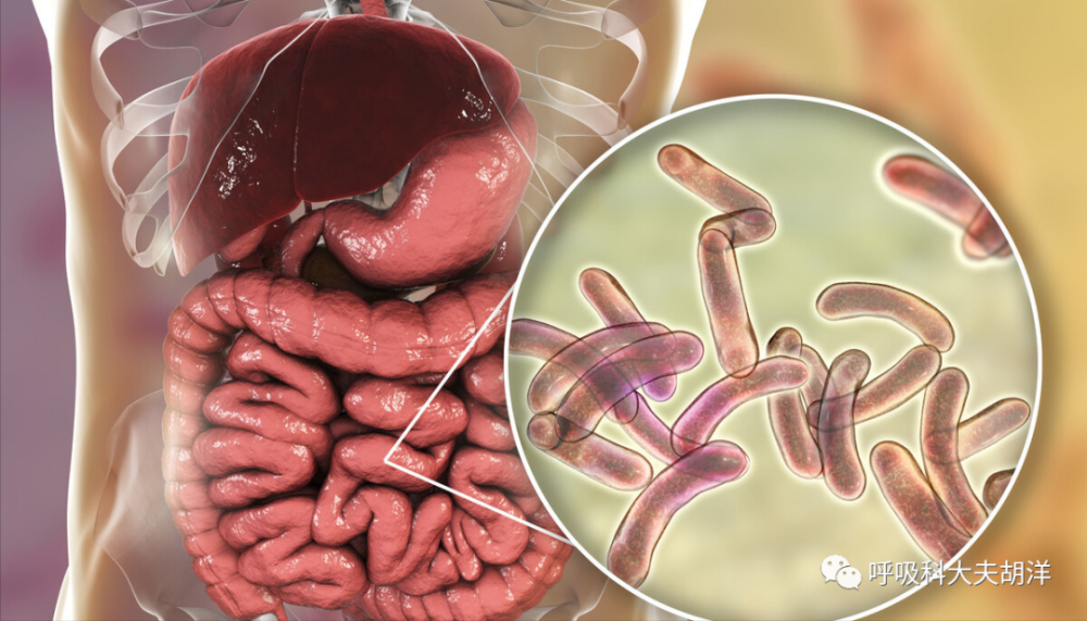 霍乱厉害还是新冠厉害?_腾讯新闻