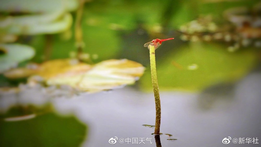 中考分数贬值，学区房就没有价值？