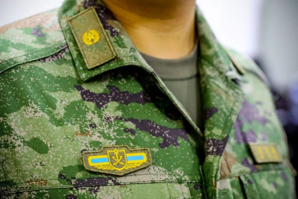 ▼请看特写进行军兵种的区别依靠胸标,军种旗帜,臂章等配饰更贴合实战