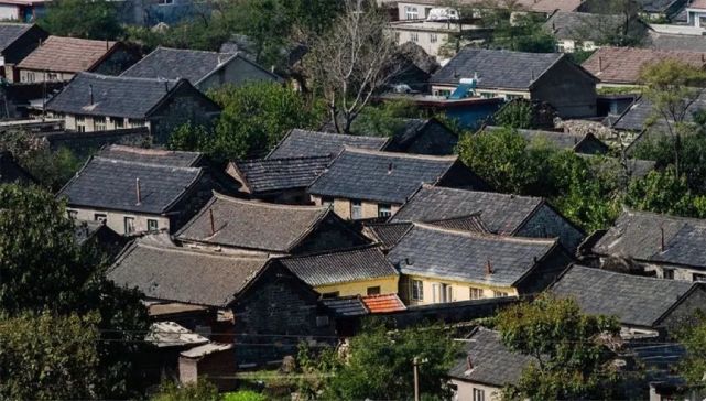 探访即墨栲栳古村,百亩荷塘惊艳绽放!
