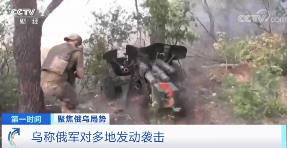 蘇聯如何戰勝納粹德國？閃電戰為什么對蘇聯無效？定語從句作主語的關系詞