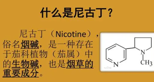尼古丁的克星或被找到长期抽烟的人若能常吃有助清肺