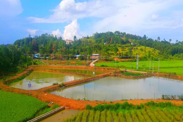 宜章县岩泉镇三借模式走活发展村集体经济满盘棋