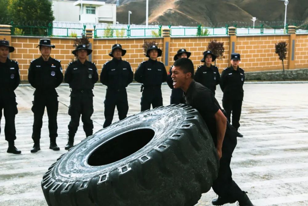 尖刀行动图片