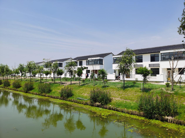 盐城亭湖这两个新型农村社区获"江苏省特色田园乡村"称号_腾讯新闻