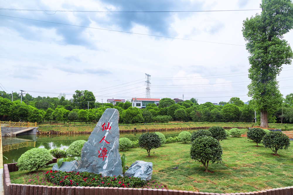 长沙县黄兴镇发展苗木产业做活美丽经济