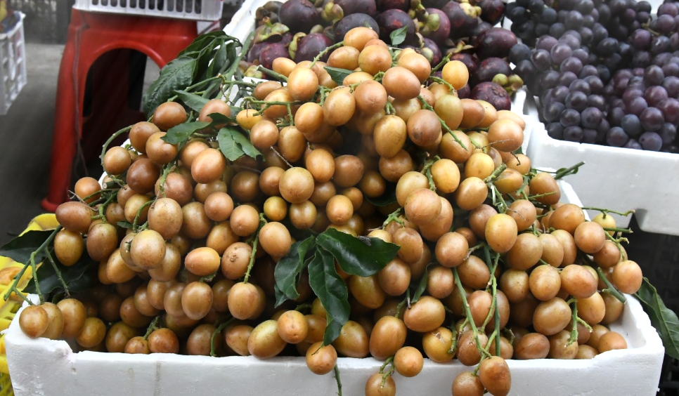 菜市场,水果店,在崇左城区大街小巷的近段时间以来,它就是黄皮果.