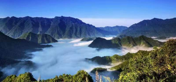 2022重庆夏季旅游启动仪式在城口县举行_腾讯新闻