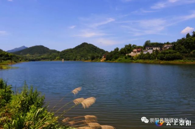 崇阳路口镇:整治沙墩水库 守护绿色家园