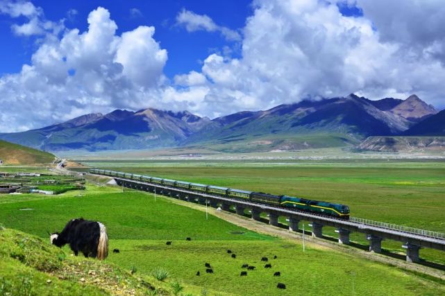 上车需签生死状乘客还主动擦车窗这趟人生必打卡列车你坐过了吗