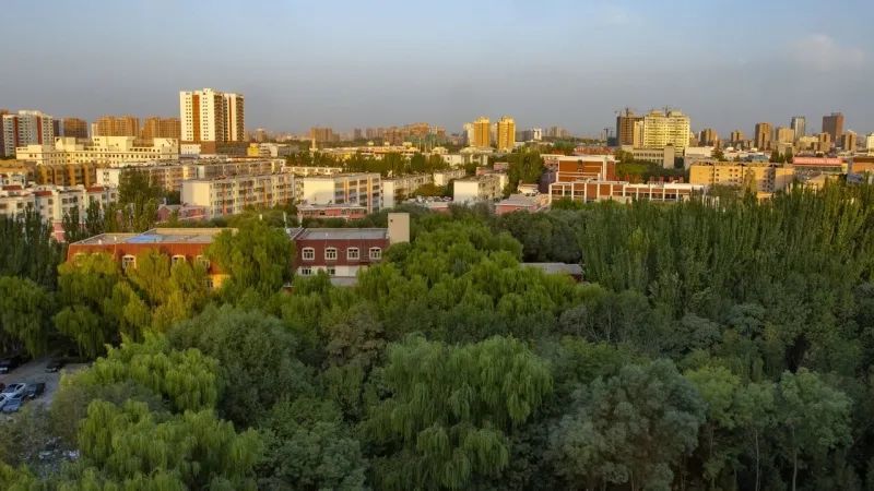 河润伊州 向绿而歌_腾讯新闻