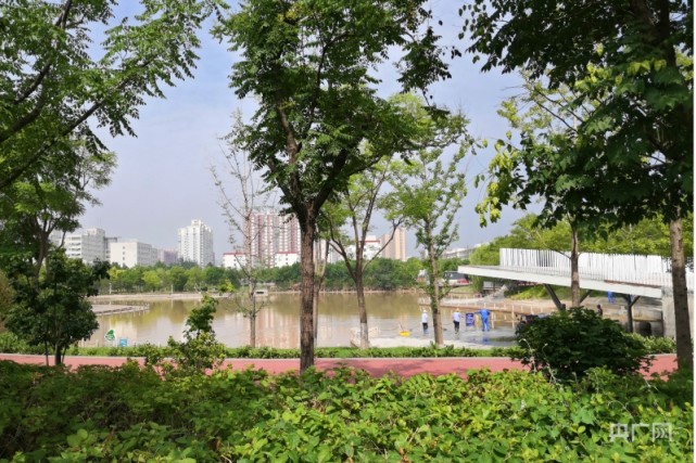 記者直擊太原晉陽街公園迎戰夏汛