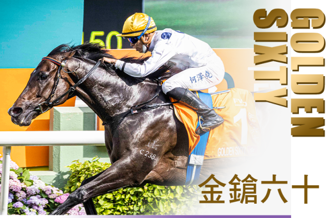 "金枪六十"再次当选香港马王!