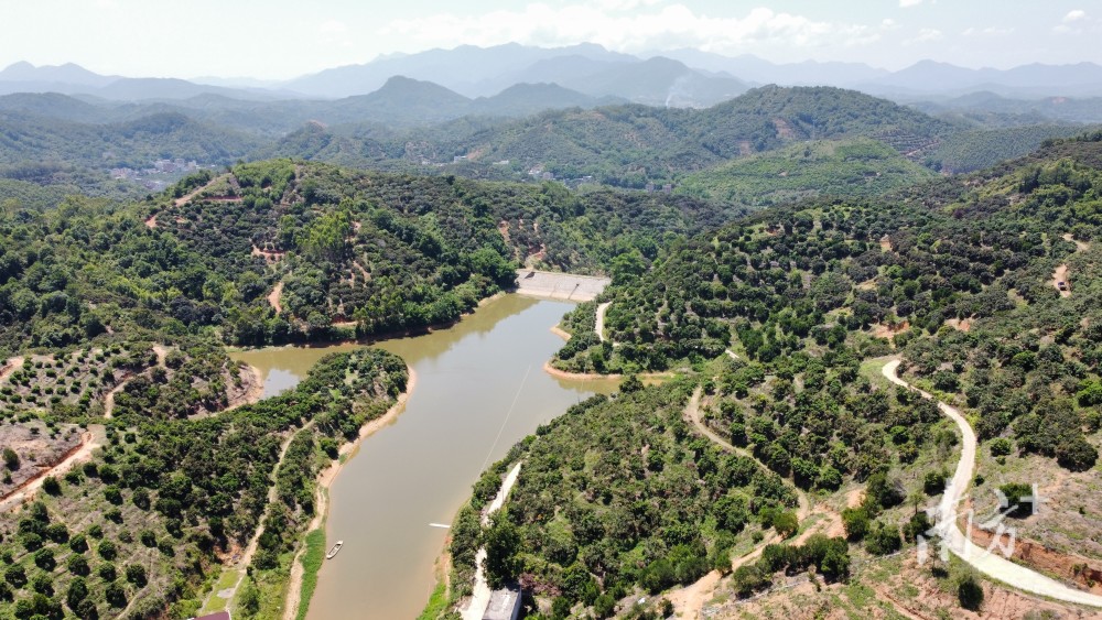 走进高州十大美丽乡村长坡镇大石冲村育强领头羊乡村鹿更宽
