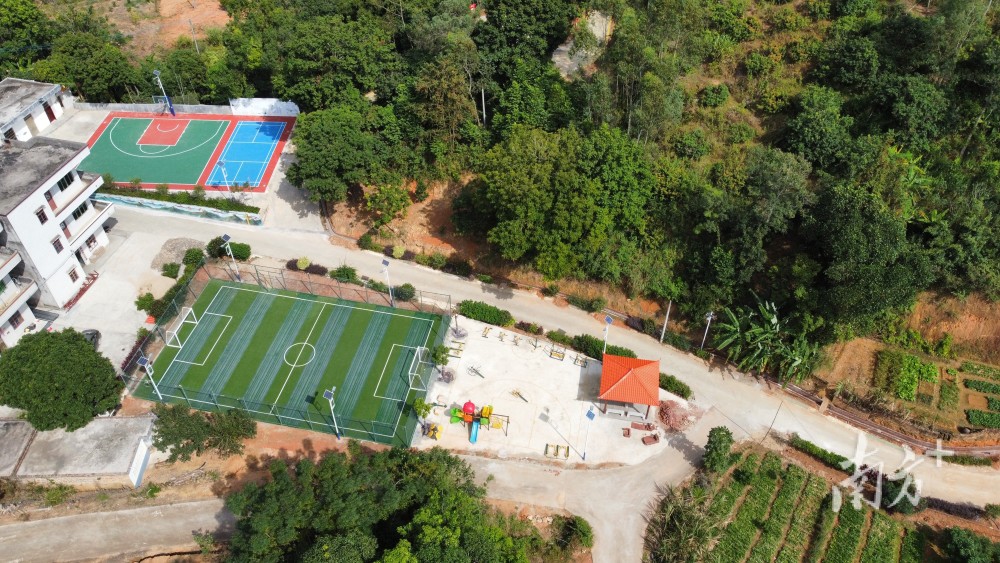 走进高州十大美丽乡村长坡镇大石冲村育强领头羊乡村鹿更宽