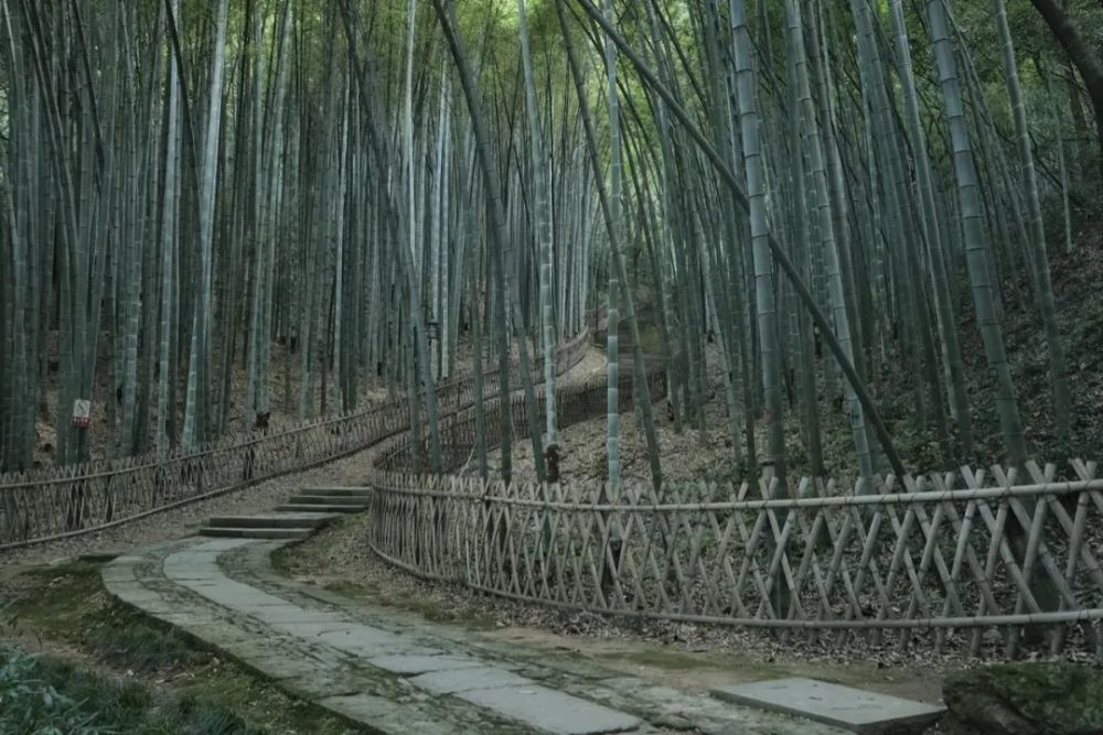 40度高温下的杭州