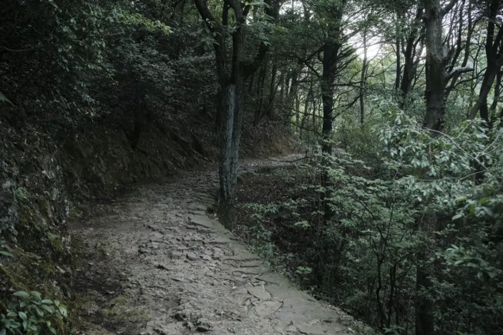 40度高温下的杭州