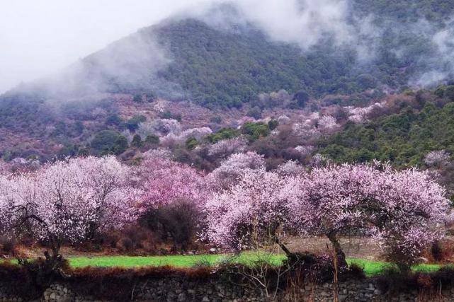 其一:《桃花源记》所叙晋太元年间,中国版图上叫"武陵县"的只有竹山.