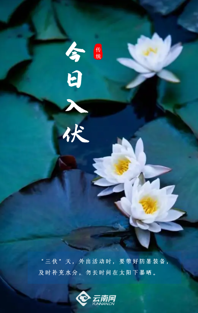 今日入伏暑热退退退