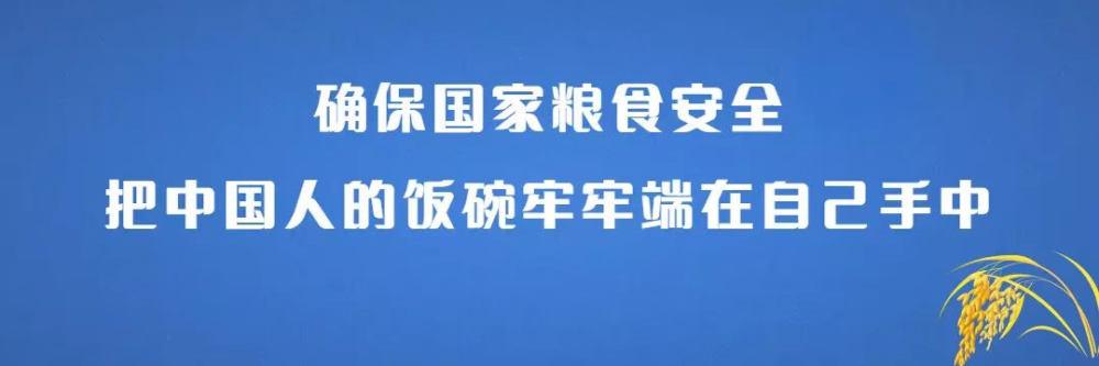 吉利FX11将于8月5日首发并公布中文名搭雷神混动系统波比英语有点读笔吗2023已更新(微博/网易)