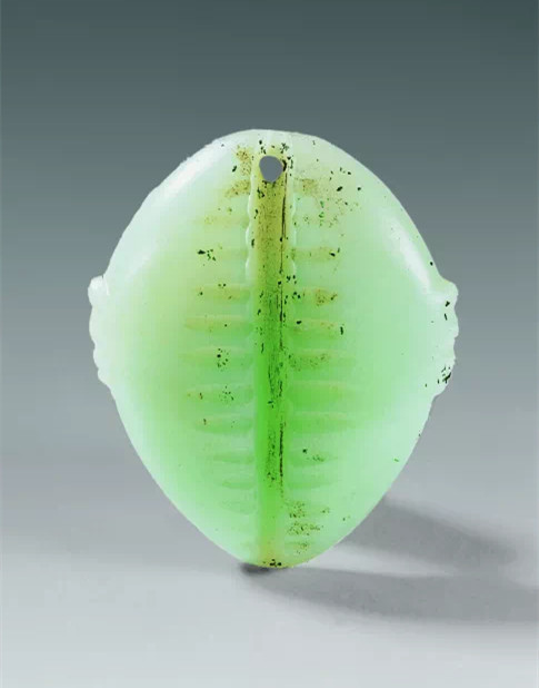 三星堆海贝首展!1200件"宝贝"呈现一个奇妙世界