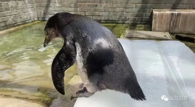 641