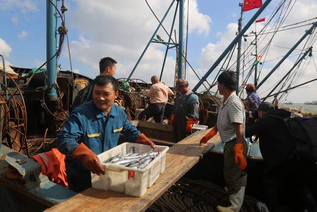 渔民捞来的mk46鱼雷,曾让我国反潜鱼雷进步20年|美海军|中国渔民|渔民