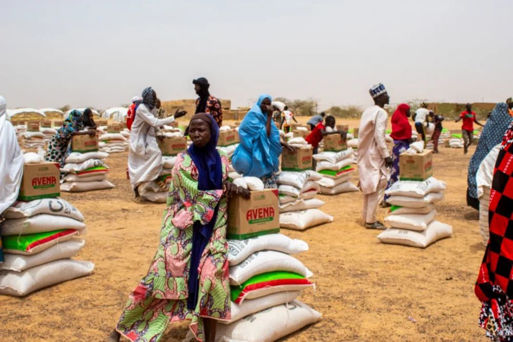 红十字国际委员会：数亿人将在未来数月面临严重的饥饿风险