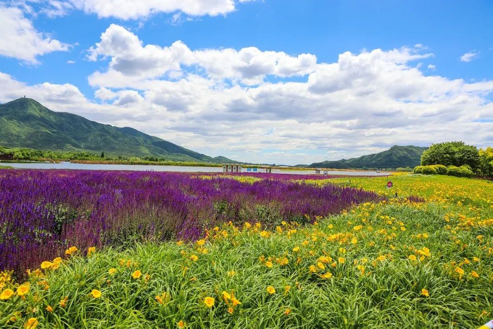 七孔桥花海公园图片