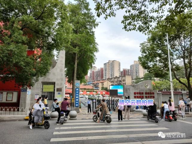 2022武汉梅苑幼儿园报名(武汉市梅苑小学2020年招生简章)