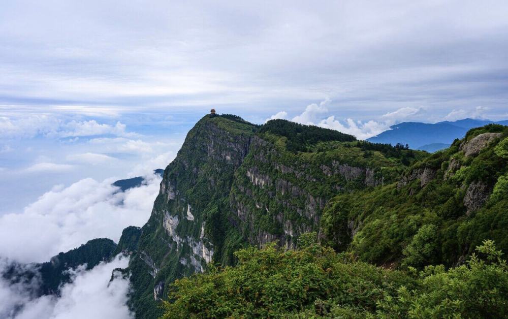 老人游客在四川峨眉山景区乱扔垃圾景区不罚款这样做会纵容老人吗