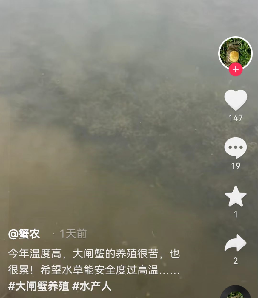 河南一老太“擅闖”卡點頭撞車廂暈倒，當地城管豈能揚長而去？快速學ai9節課案例精編串聯知識