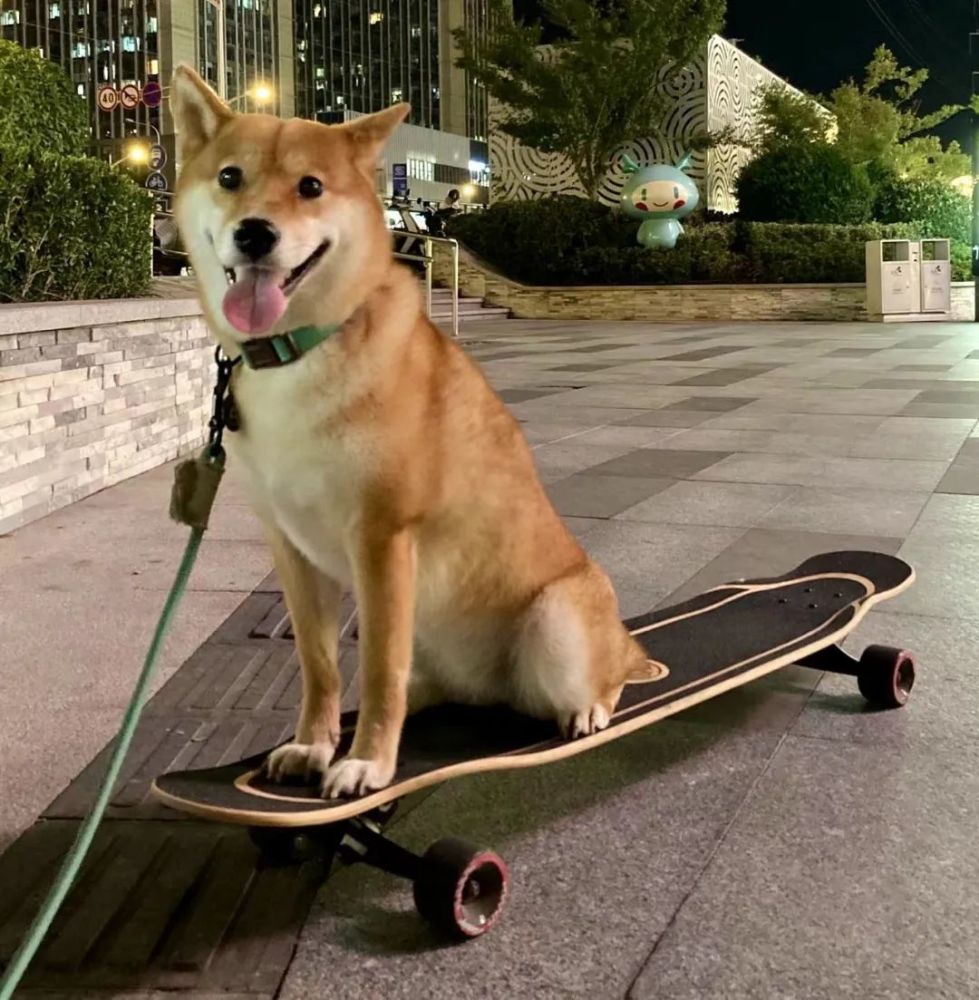 我在天街玩滑板_腾讯新闻